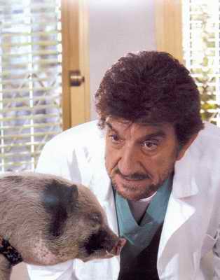 "Il veterinario", rivedi il tv movie con Gigi Proietti