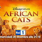 Stasera in tv, mercoledi 25 dicembre 2013: African cats, Cars 2, The artist, Ligabue Campovolo