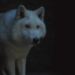 Game of Thrones: confermato il ritorno di Spettro nell’ultima stagione