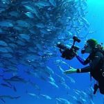 Oceans: Netflix annuncia una nuova docu serie di James Honeyborn