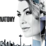 Fox Grey's Anatomy prime stagioni