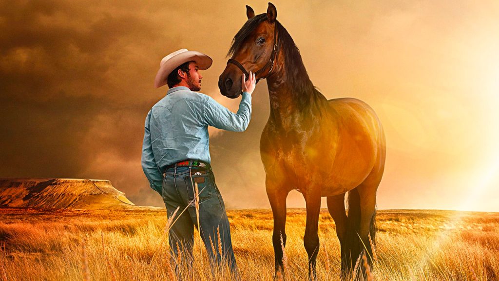 The Rider-Il sogno di un cowboy RaiPlay