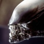 Alien: Ripley non apparirà nella serie, le riprese nel 2022