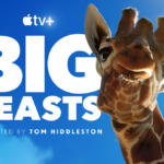 “Big Beasts – Maestose Creature”, la nuova docuserie narrata da Tom Hiddleston su Apple TV+