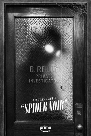 spider-noir-black